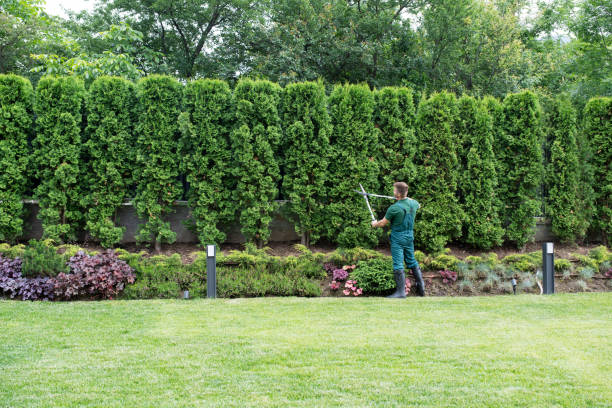 Lawn Maintenance Plans in Brunswick, MD